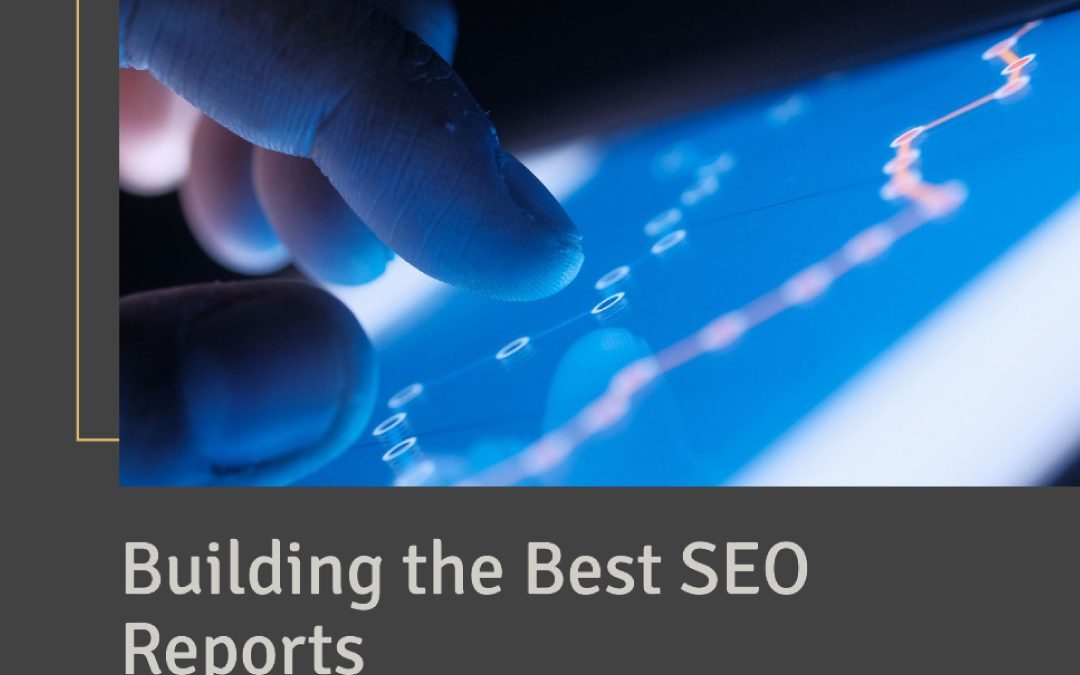 what to look for in seo report