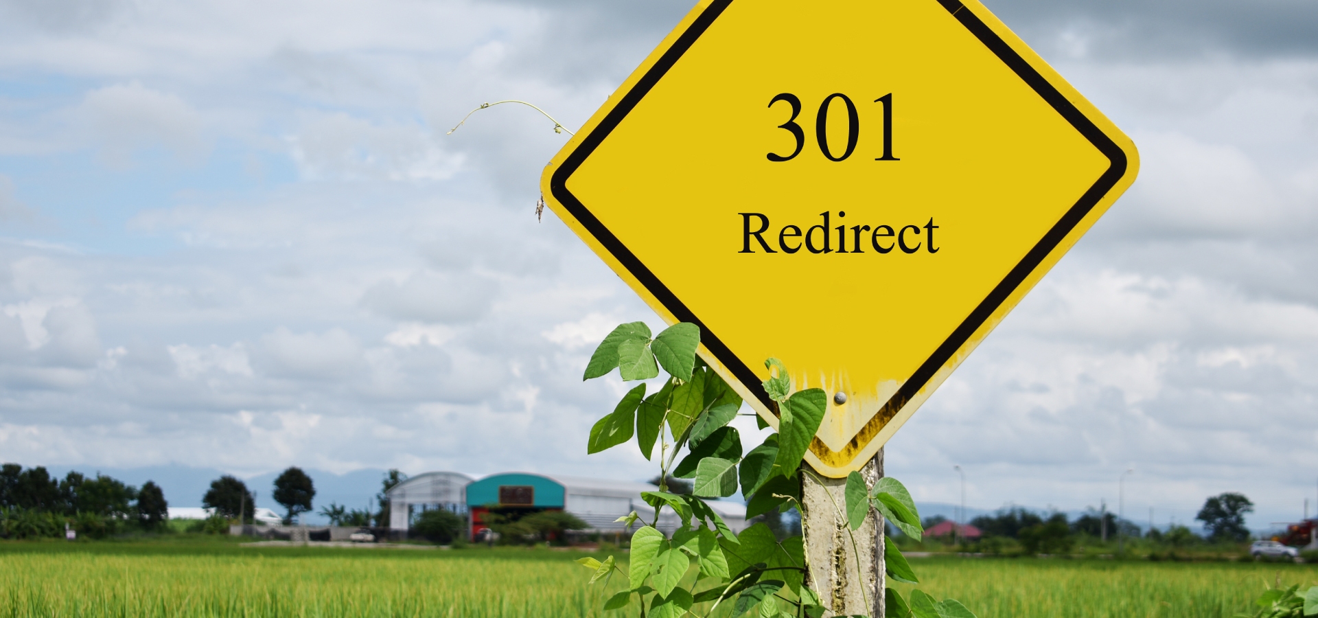 301 Redirects Strategy: What They Are and How to Use Them